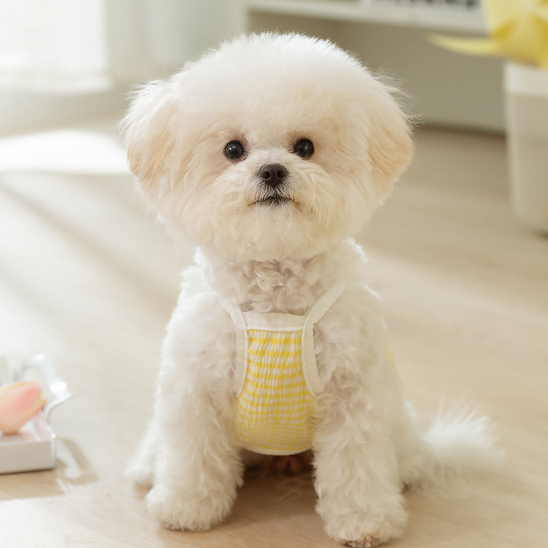 Primavera y verano para perros coreanos pequeños dulces frescos camisetas a rayas para gatos dos patas delgadas ropa de mascotas transpirables