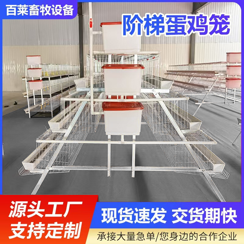 厂家供应 阶梯蛋鸡笼坚固耐用防锈防腐镀锌 坚固耐用，防锈防腐