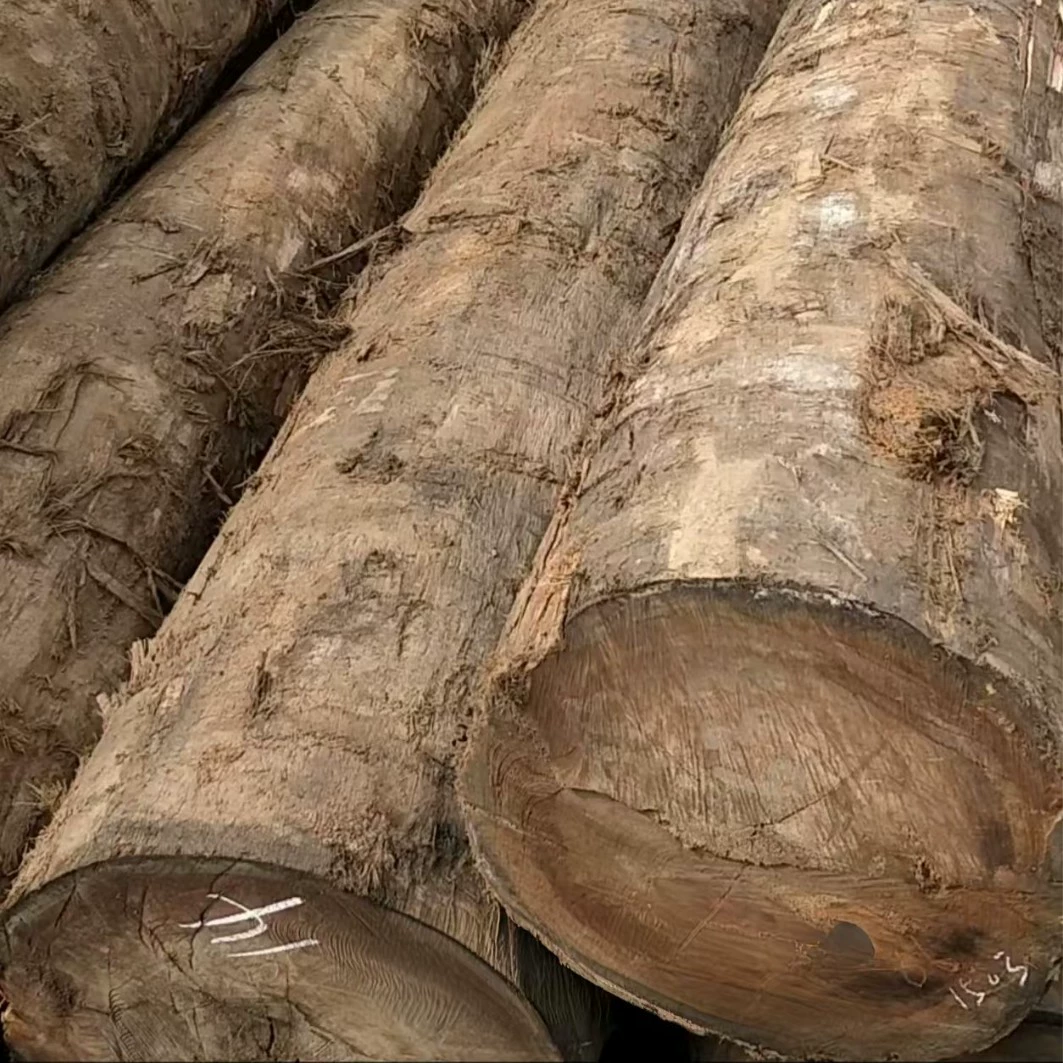 Zhangjiagang Source Casla/TB массивные деревянные доски (опт/розница)
