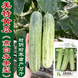 ����S�ϷN�ӷN���ݴ��������߲��Ϸ��ļ��ѷN���Ѳ˷N�＾���S��