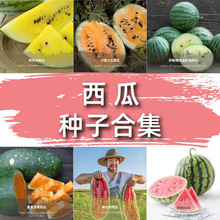 ҌϷNӺϼ 3/ N MڷN  ˮ