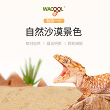 WACOOLɳɳ}ɳ،mB쾰Ʒ