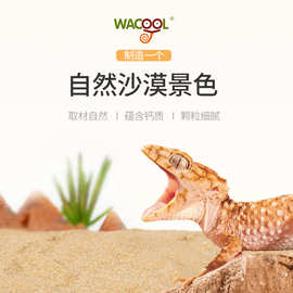 WACOOL玩酷爬沙爬宠沙钙沙陆龟守宫蜥蜴饲养箱造景冬季冬眠用品