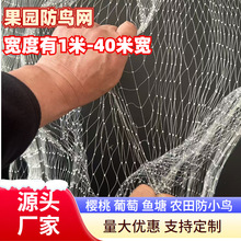 防鸟网 果园保护养殖鱼塘天网养殖防护网庭院拦鸟网 高强 防鸟网