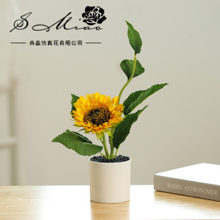 �ٻ�����Gֲ̫ꖻ����տ�С�辰����[�����A�S��ֱ�����l���滨