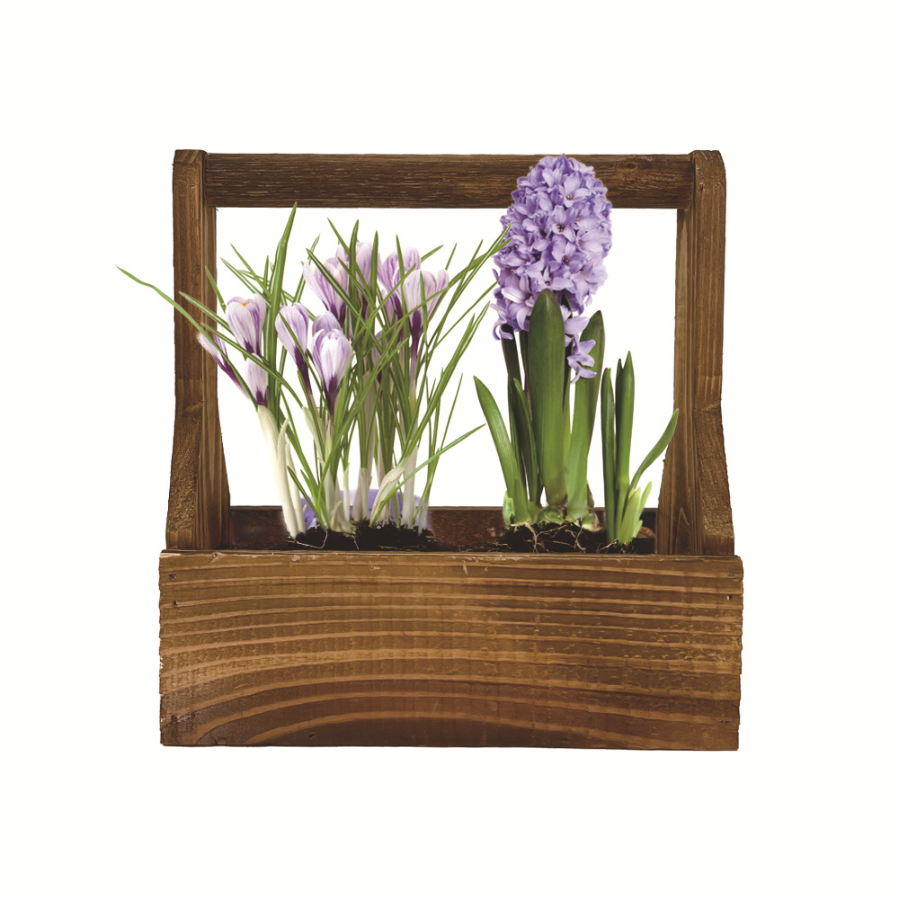 Cross Border New Product Rectangular Wooden Flower Pot Hanging Fleshy Flower Pot Handmade Garden Flower Pot Home Decoration Indoor and Outdoor