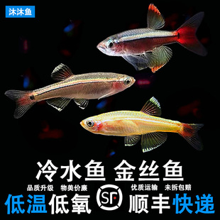 ��녽�z�~���wС��ԭ���~���~����ˮ���Ӝ����B�^�p���~�tβ����