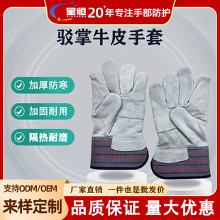 ţƤ�g��늺������͸ߜط��C��ĥ�������Ӹ���ڱ����׶̿�