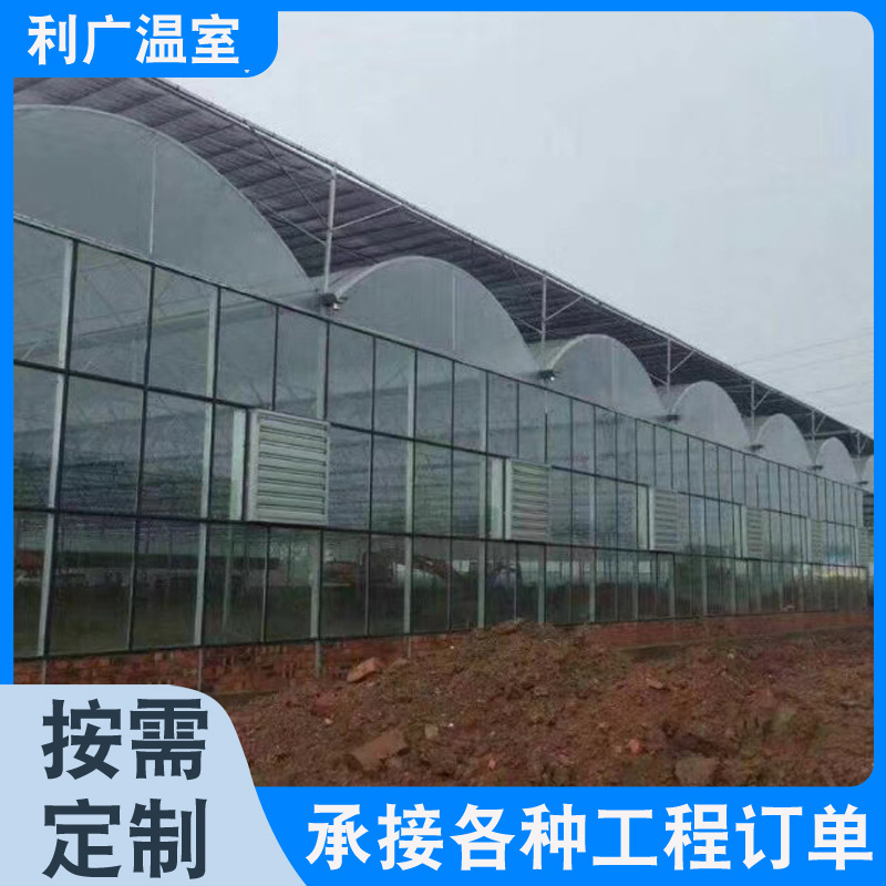 养殖大棚草莓保温被 蔬菜暖棚别墅草莓种植温室玻璃智能温室大棚