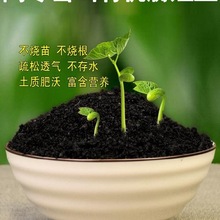 �ЙC�I�B��ͨ���͸�ֳ�����������Nֲ���N���N������������m����