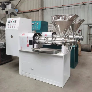 大型茶籽榨油机不锈钢菜籽葵花籽油榨油机全自动商用压油机