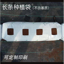 �L�l�Nֲ�����Ϻڰ�Ĥ��ϲ�ݮ���t������Ҭ��������o����