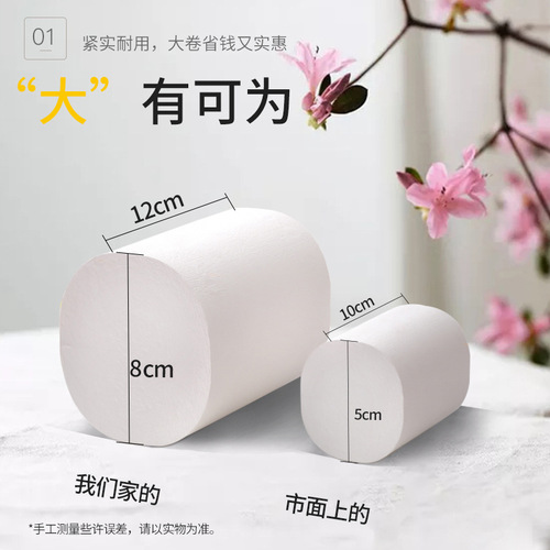 5-pound pack of 5-ply thickened toilet paper—large, coreless roll for home use, offering great value as a household essential.