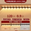 Чёрный, 120 см, 10 светодиодов