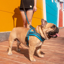新款狗狗牵引绳 反光透气狗背带套装背心式胸背带中小型犬遛狗绳