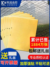 SpճxERNS{wxСw@մωTճ