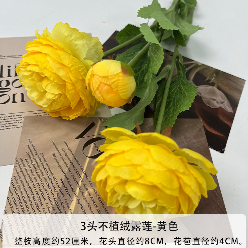 노란색이 모여들지 않음