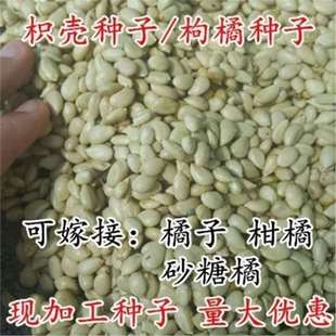 �ך��N�� ���ٷN��-�������׌��N�� �F�hկ�N��-�޽Ӹ���