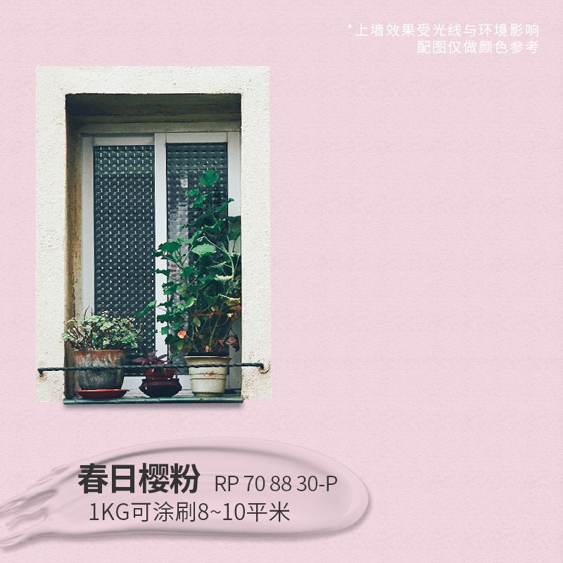 1kg-봄 사쿠라 가루