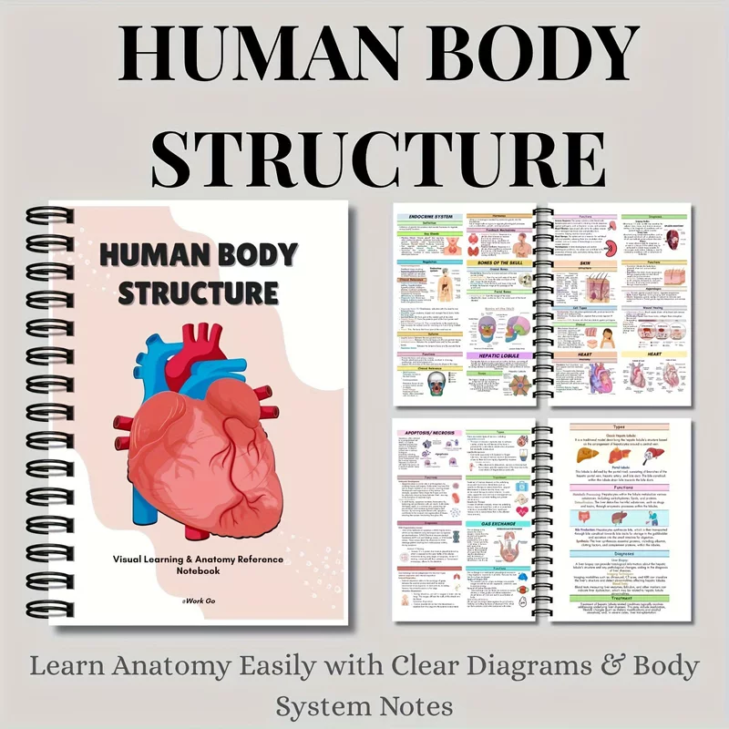 Physiological copybook for students, teaching skeleton, anatomy, human body structure, muscular organs