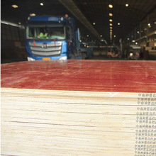 木工板建筑红板三六尺木模板中南神箭厂家批发重量轻易锯易钉