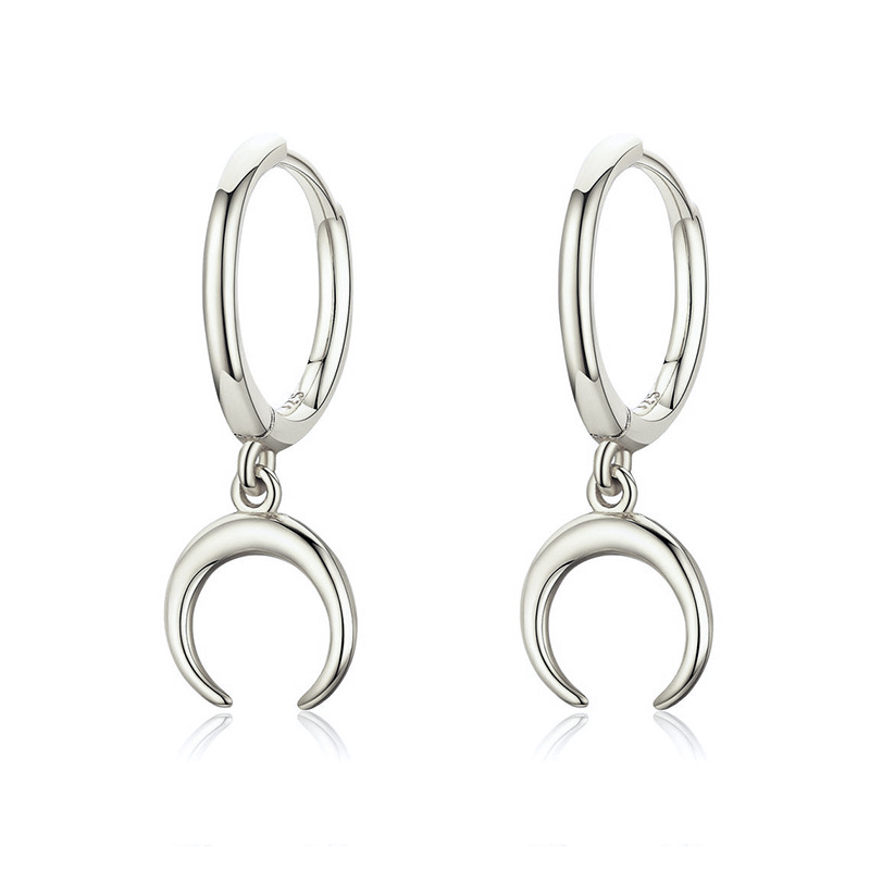 Fashion Geometric Moon Crescent S925 Silver Earrings Wholesale display picture 9