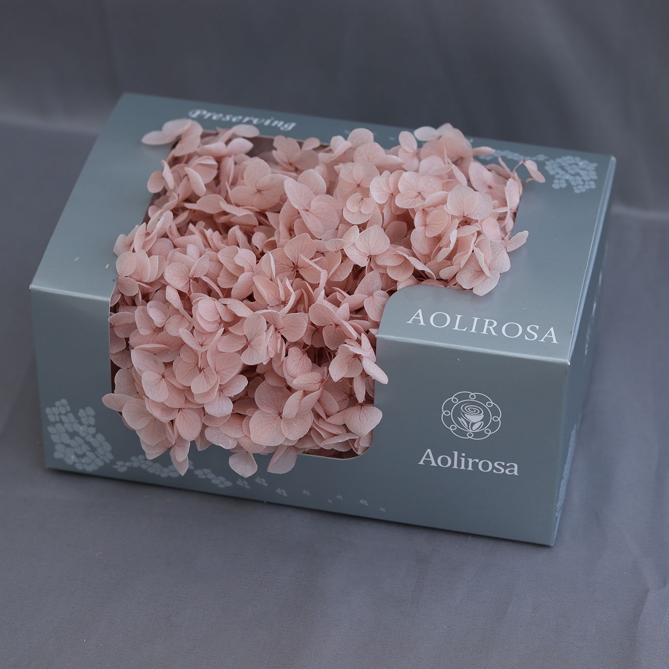 Grado A Anna Hortensia flor permanente flor seca Hortensia de hoja pequeña 20g Hortensia en caja fábrica al por mayor MATERIAL DE FLOR DE San Valentín