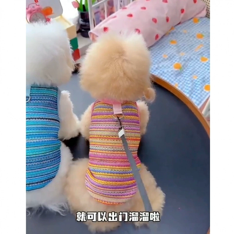 Собачья одежда летняя тонкая модель с тяговыми пряжками радуга плетеный ажурный жилет Теди Бомей маленький щенок
