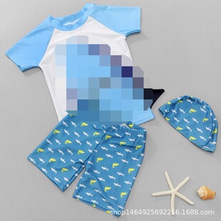 Children's Swimwear Boy's Cute One-piece Sunscreen Quick-drying Baby Baby Children's Swimwear Set Boy's Swimwear