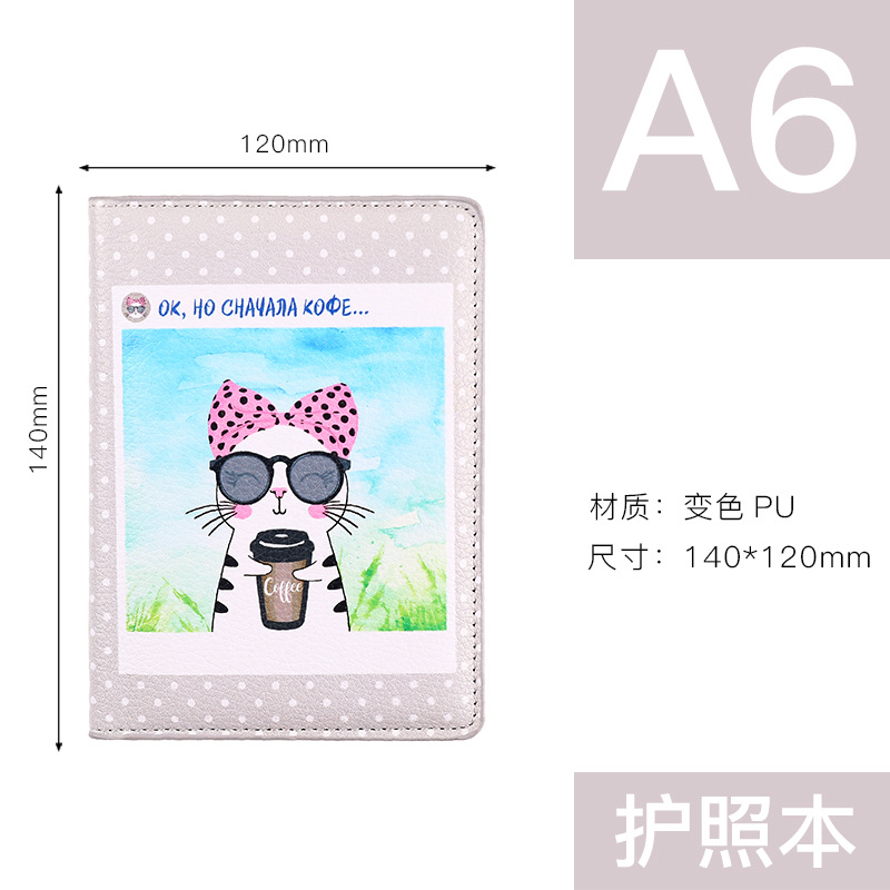 Passport Set Figure 2