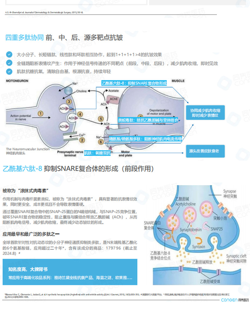 Oil-soluble anti-wrinkle active peptide_07.jpg