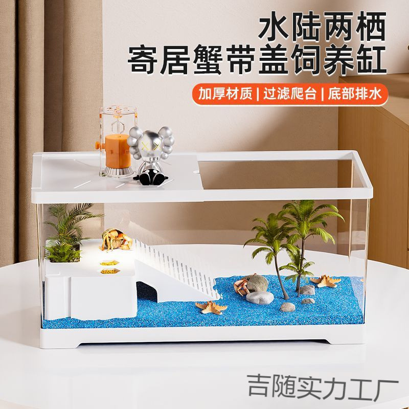 乌龟饲养缸生家用带盖爬台小型螃蟹相守态造景装饰蟹寄居蟹专用箱|undefined