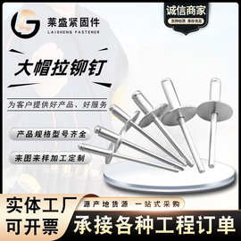 大帽铆钉铝制圆头大帽沿拉铆钉抽芯铆钉大扁头汽车拉铆钉大头拉钉