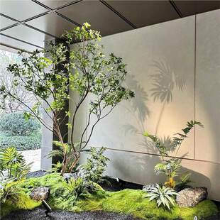 �����R��ľ�Ř�Gֲ�٘侰�^������ͥ�b��̈��Ƶ����P�쾰����