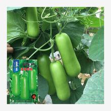 ̰rѹӺJļNѶϲ߲˷NӷNӶ