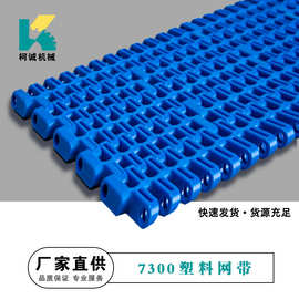 7300塑料网带25.4节距网带SNB M2输送网带输送模块式塑料网链网带