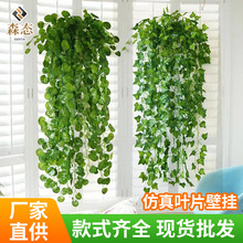 ����ֲ��ٻ��ٗl�����Gֲ���~���m�҃ȾG�~�b����ϾG�}���@�ڒ�