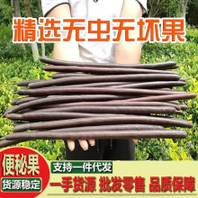 云南便秘果整根云南便秘果果肉缅甸排便大解果腊肠果批发奇异果