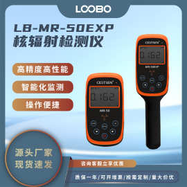 核辐射检测仪αβγ和Χ射线分析仪手持式辐射探测器