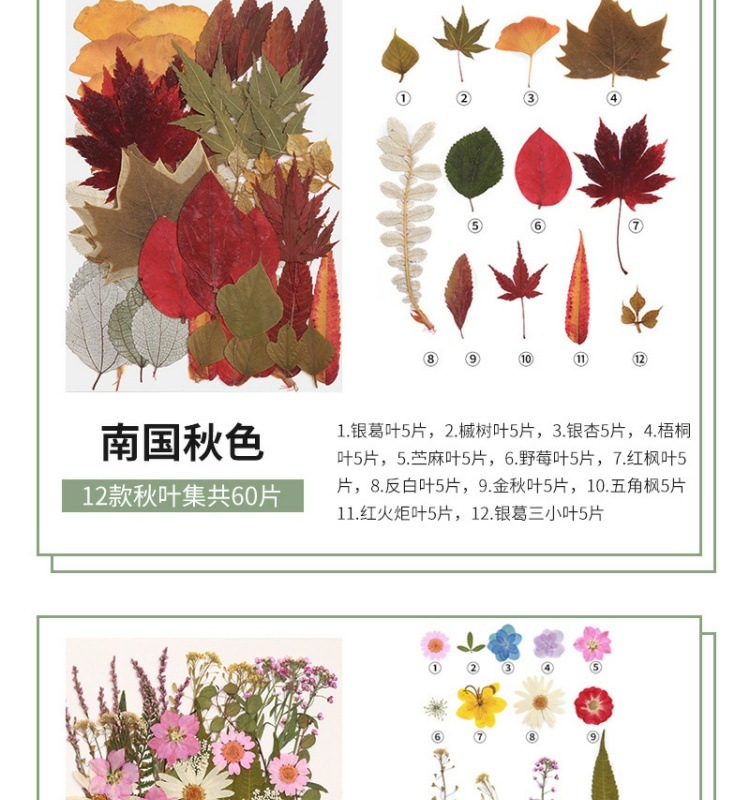 3399c236-fd8f-4c28-92a3-b3c3f983d834.jpe