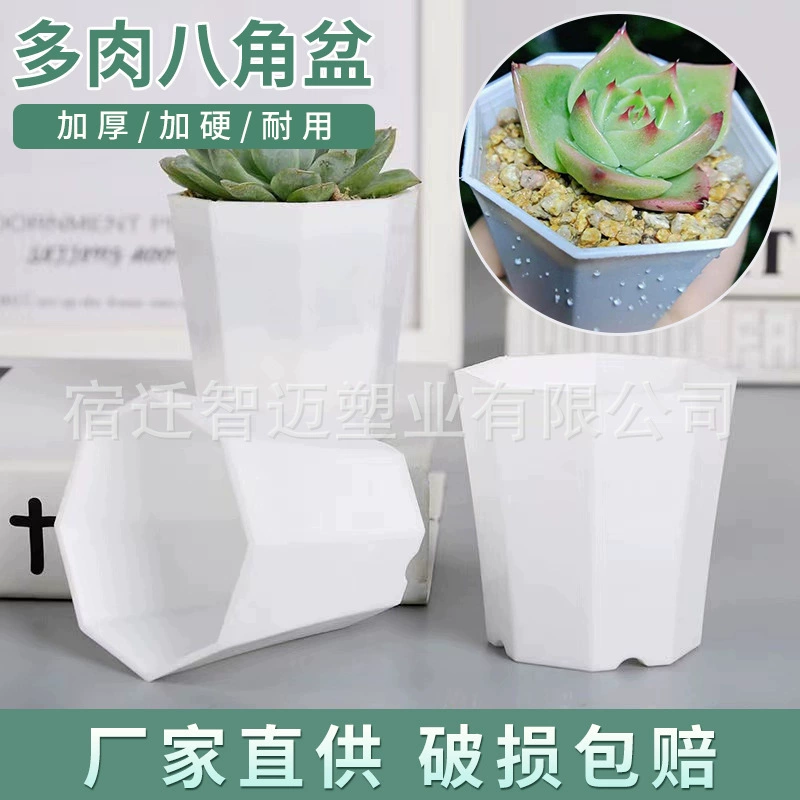 Толстый анис-анис-горшок из плоти, пластиковый маленький цветочный горшок, цветочный горшок для рассады, дышащий домашний балкон, цветочный горшок