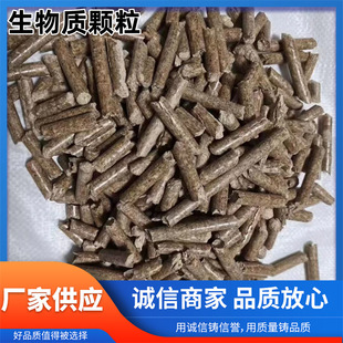 �S�ҹ��������|�w��ȼ�����l�����w������ľ̿���ͭh������