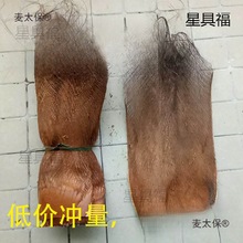 棕树皮棕衣棕毛棕榈衣棕丝棕片棕皮装饰绿萝棒椰棕棒茅屋用麦太保