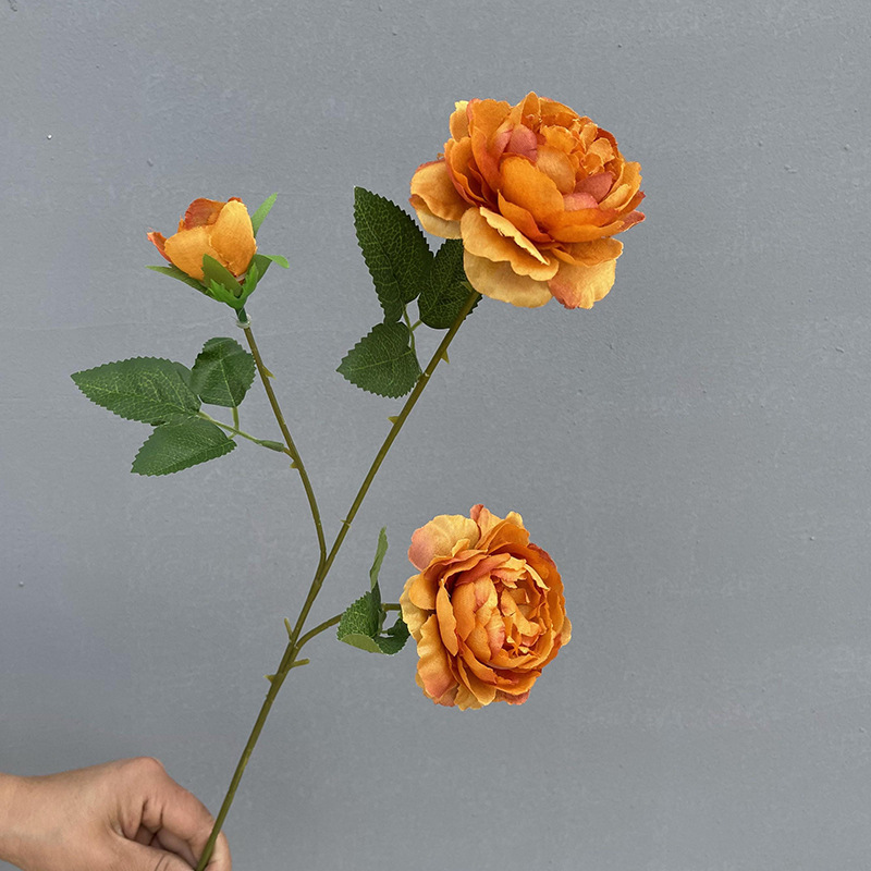 3 Foreign peonies-autumn orange