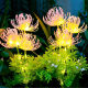 2024 new led solar dog tail grass floor lamp Bianhua simulation green outdoor garden butterfly lamp