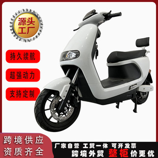 跨境外貿電動車源頭工廠二輪電瓶車1000w電動摩托車60V72V大馬力