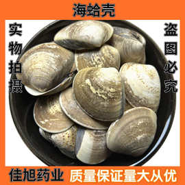 批发 海蛤壳 文蛤壳 蛤壳 量大从优 另有煅海蛤壳生牡蛎代赭石