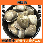 批发 海蛤壳 文蛤壳 蛤壳 量大从优 另有煅海蛤壳生牡蛎代赭石