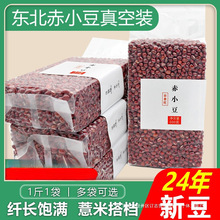 2024�������г�С���|���t����s�Z�ּZʳ�r���Ԯa�ɴ���޲��2��