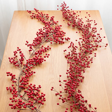 NUCHI���R�d����t���blؔ���}�Q�ٗl��֦�t������������b�